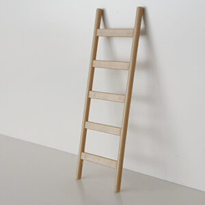 Ladder