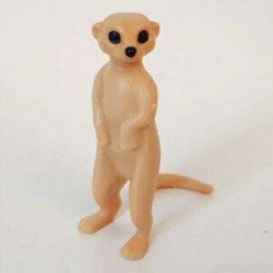 Stokstaart staand Meerkat