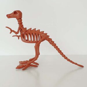 Playmobil Dino skelet Bruin