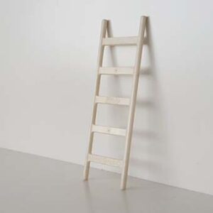 Ladder