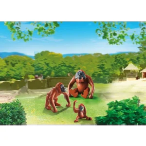 Playmobil 6648 Orang-oetan familie